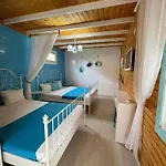 Viorica Homestay *