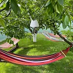 Viorica Homestay