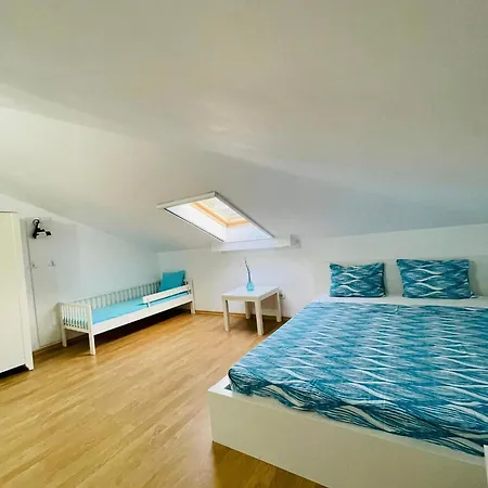 Viorica Gazde/Camere de închiriat *