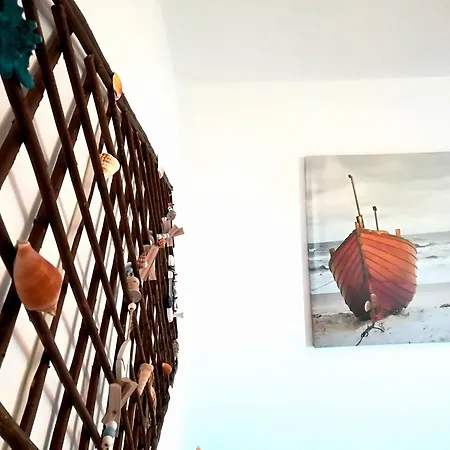 Viorica Homestay szállás *