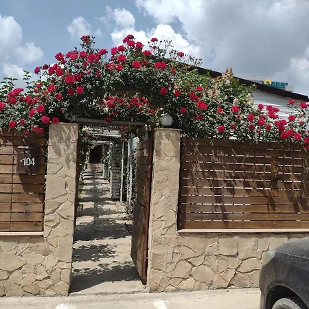 Homestay szállás Viorica *