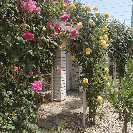 Homestay szállás Viorica *