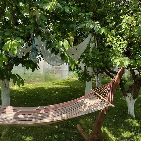 Gazde/Camere de închiriat Viorica *