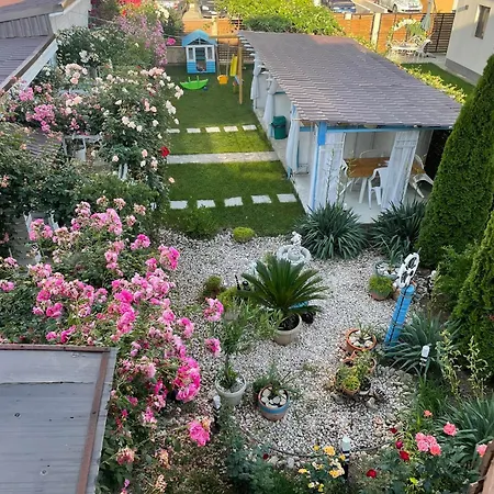 Viorica Homestay szállás *