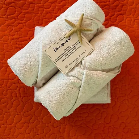 Homestay szállás Viorica