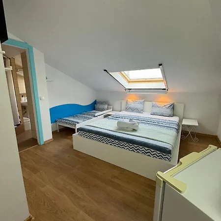 Viorica Homestay szállás Năvodari