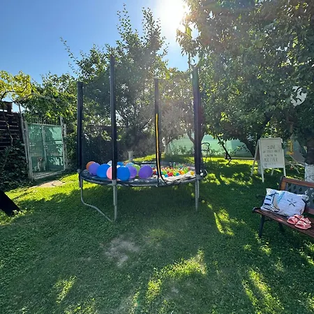 Homestay szállás Viorica Năvodari