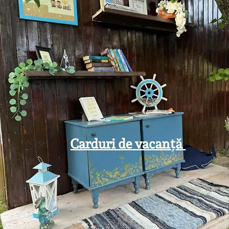 Viorica Homestay szállás