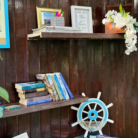 Viorica Homestay szállás