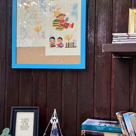 Viorica Homestay szállás *