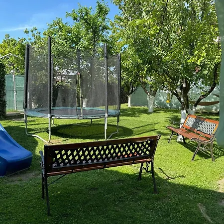 Viorica Homestay szállás *