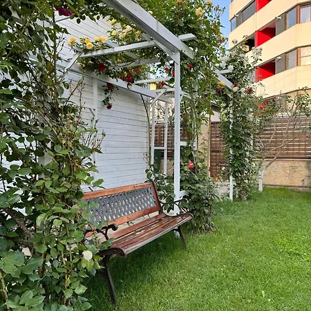 Viorica Homestay szállás