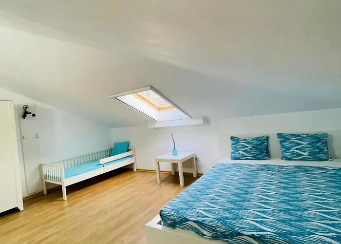 Viorica בית אירוח *