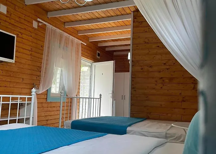 Viorica בית אירוח Năvodari