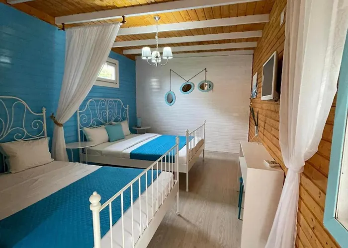 Viorica בית אירוח *