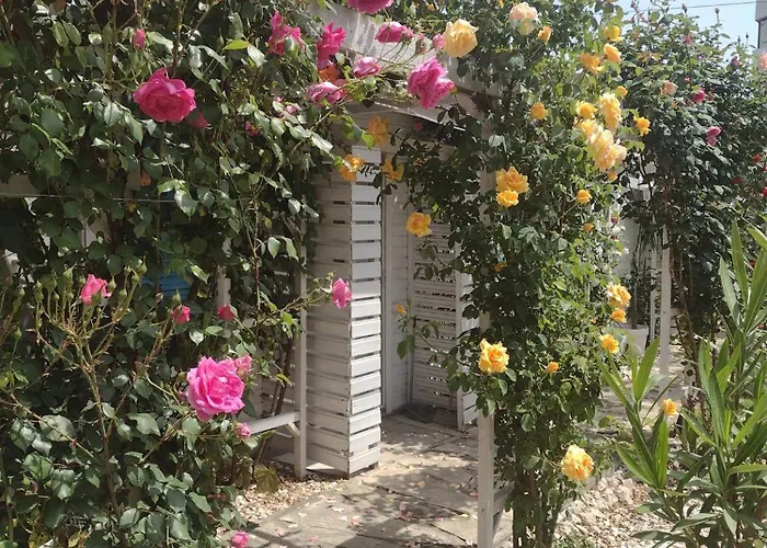 בית אירוח Viorica *