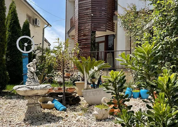 בית אירוח Viorica