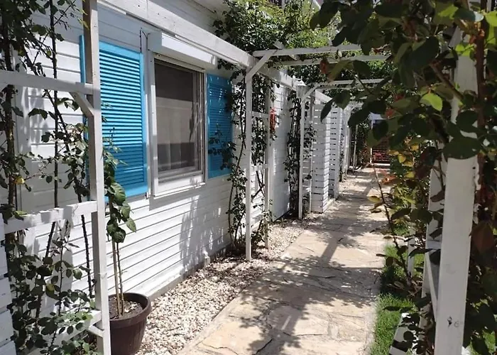 Viorica בית אירוח *