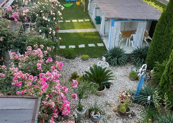 Viorica בית אירוח *