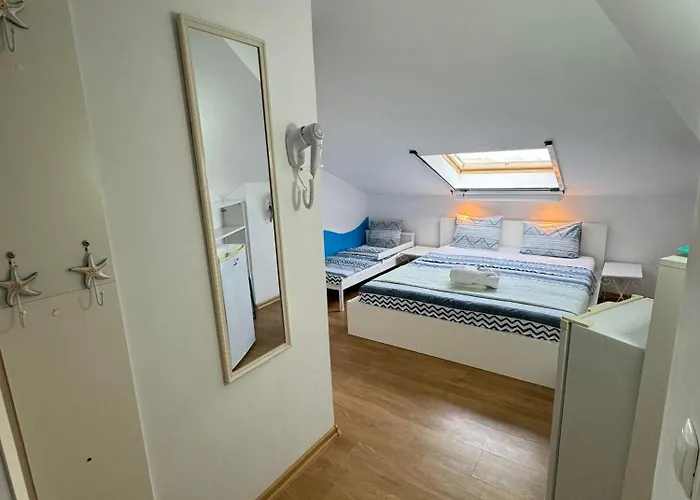 בית אירוח Viorica *