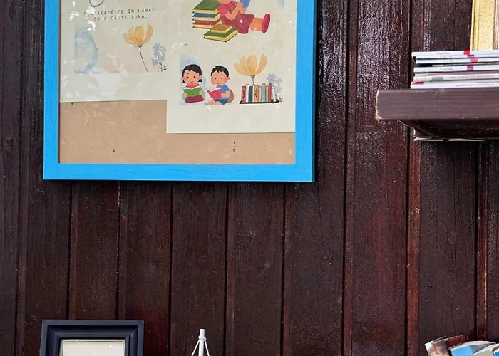 Viorica בית אירוח *