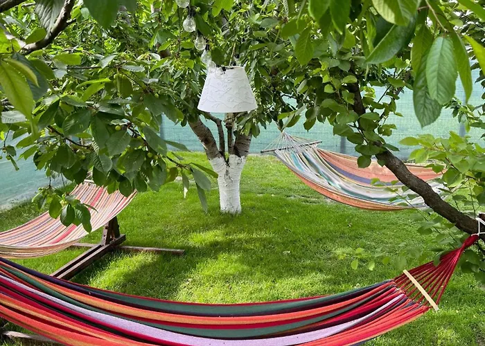 Viorica בית אירוח